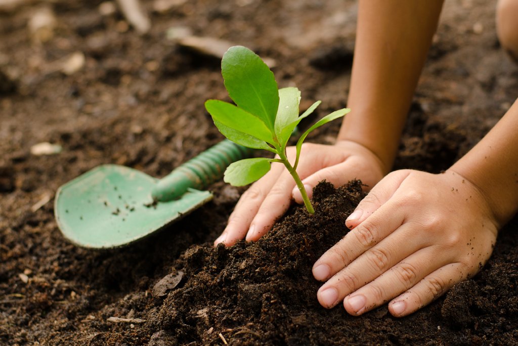 En Clínica CER somos especialista en tratar los problemas de fertilidad. Todos nuestros Ginecólogos poseen la subespecialidad en infertilidad. www.cer.cl