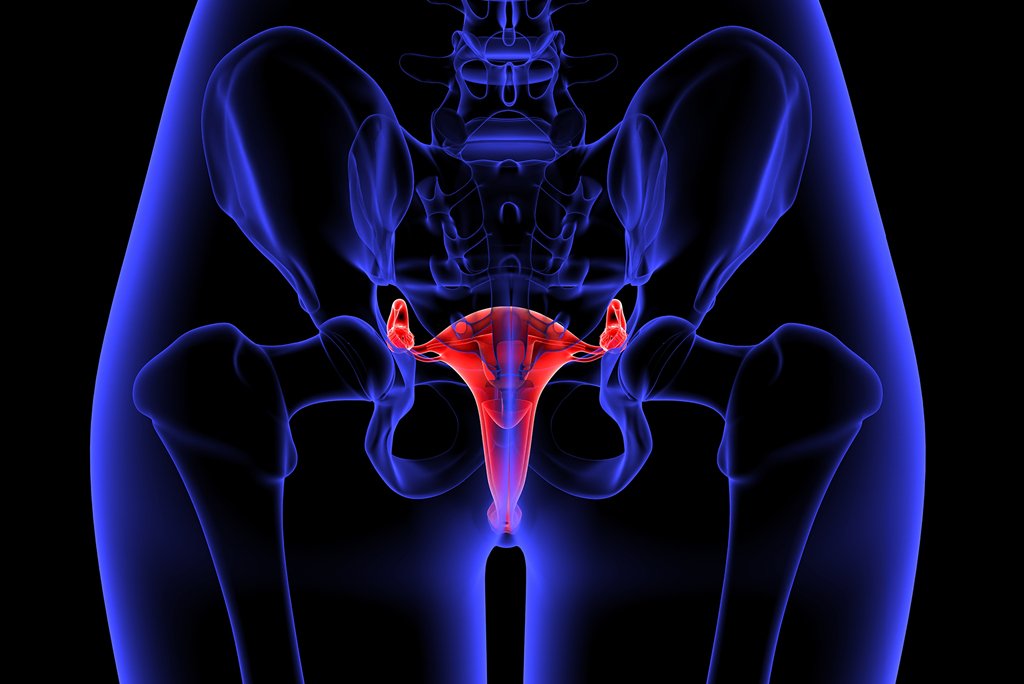 Beneficio FIV 2025, Enero y febrero tu fecundación in vitro a precio fondas sin importar tu plan de isapre www.cer.cl